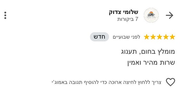 ביקורת עלינו